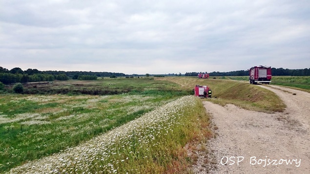 Pożar traw w Jedlinie Pożar traw w Jedlinie
