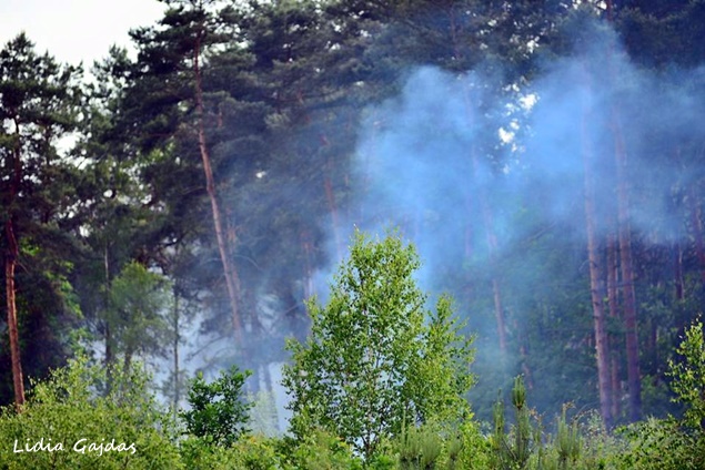 POŻAR LASU W REJONIE DK 86 POŻAR LASU W REJONIE DK 86
