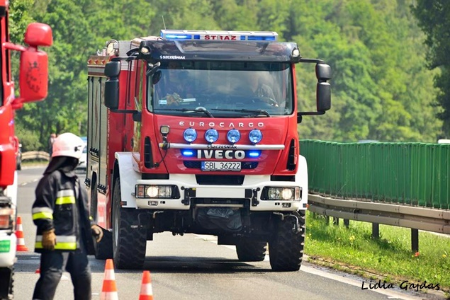 POŻAR LASU W REJONIE DK 86 POŻAR LASU W REJONIE DK 86