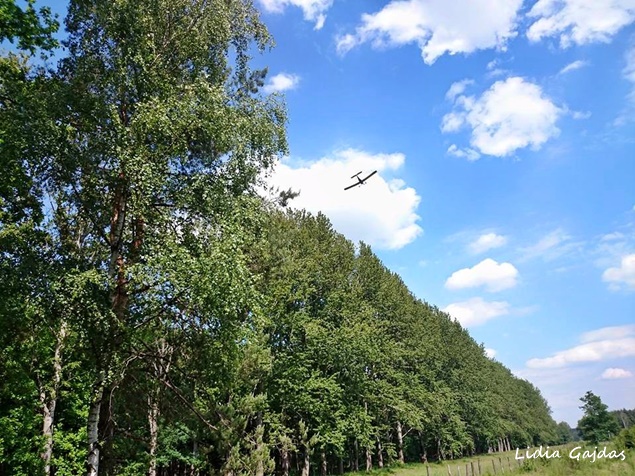 POŻAR LASU W REJONIE DK 86 POŻAR LASU W REJONIE DK 86