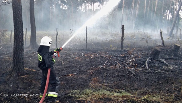 POŻAR LASU W REJONIE DK 86 POŻAR LASU W REJONIE DK 86