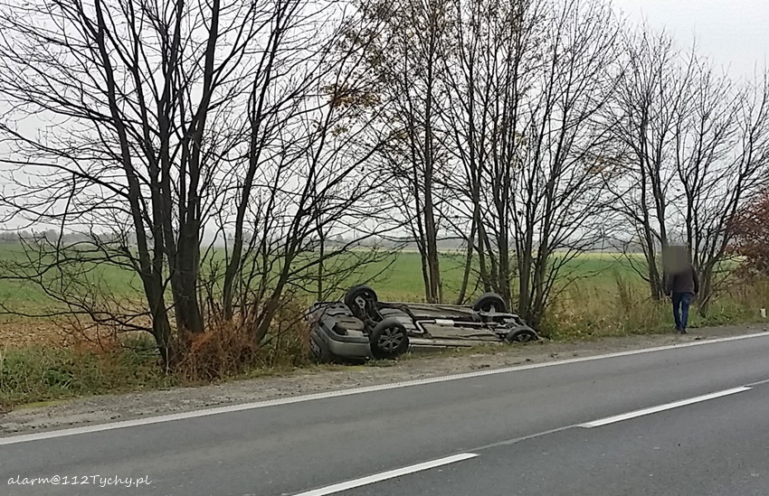 DACHOWANIE NA TURYŃSKIEJ W BIERUNIU DACHOWANIE NA TURYŃSKIEJ W BIERUNIU