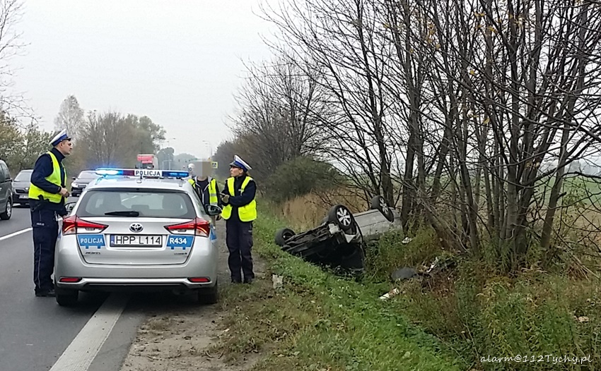 DACHOWANIE NA TURYŃSKIEJ W BIERUNIU DACHOWANIE NA TURYŃSKIEJ W BIERUNIU