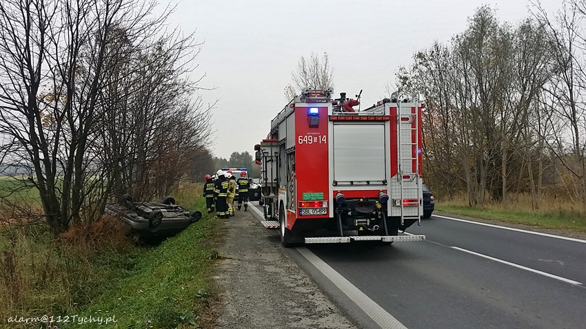 DACHOWANIE NA TURYŃSKIEJ W BIERUNIU DACHOWANIE NA TURYŃSKIEJ W BIERUNIU