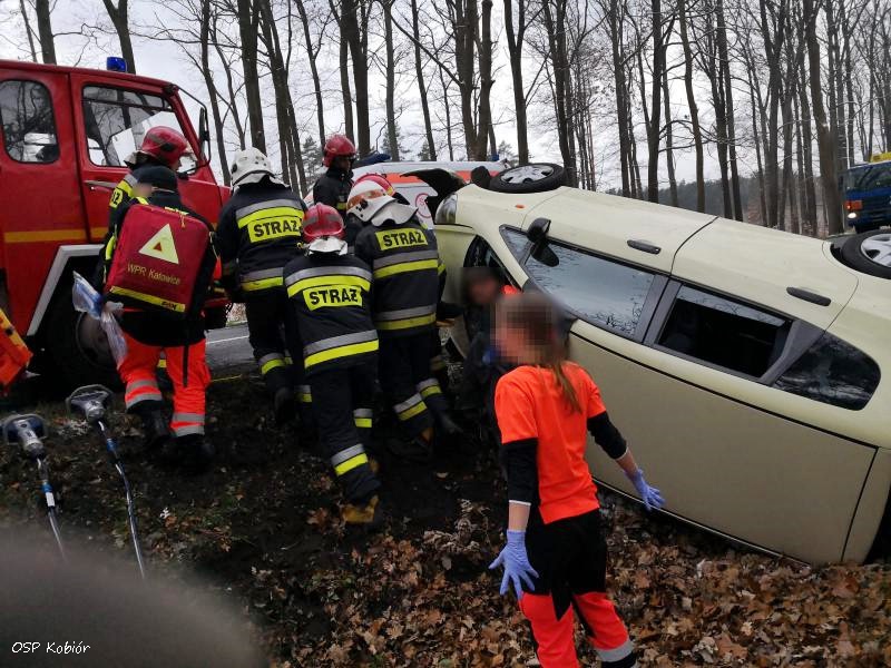 DACHOWANIE OSOBÓWKI NA CENTRALNEJ W KOBIÓRZE DACHOWANIE OSOBÓWKI NA CENTRALNEJ W KOBIÓRZE