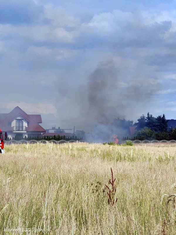 POŻAR TRAW I NIEUŻYTKÓW W IMIELINIE POŻAR TRAW I NIEUŻYTKÓW W IMIELINIE