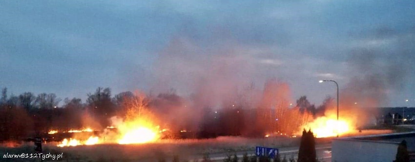 POŻAR TRAW I TRZCINOWISKA W REJONIE SKRZYŻOWANIA UL. ŻWAKOWSKA - STOCZNIOWCÓW 70 POŻAR TRAW I TRZCINOWISKA W REJONIE SKRZYŻOWANIA UL. ŻWAKOWSKA - STOCZNIOWCÓW 70