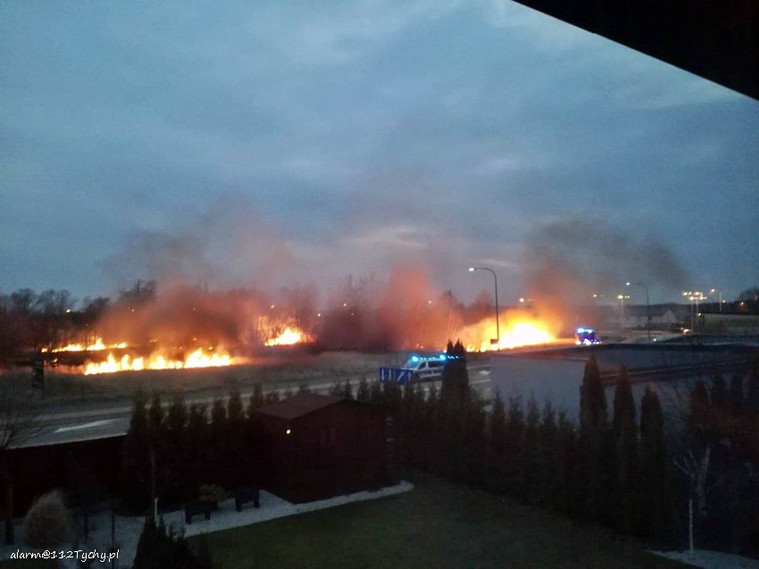 POŻAR TRAW I TRZCINOWISKA W REJONIE SKRZYŻOWANIA UL. ŻWAKOWSKA - STOCZNIOWCÓW 70 POŻAR TRAW I TRZCINOWISKA W REJONIE SKRZYŻOWANIA UL. ŻWAKOWSKA - STOCZNIOWCÓW 70