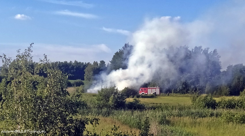 POŻAR STERTY TRAWY I DRZEWA PRZY UL CZERNINY W CHEŁMIE ŚLĄSKIM POŻAR STERTY TRAWY I DRZEWA PRZY UL CZERNINY W CHEŁMIE ŚLĄSKIM