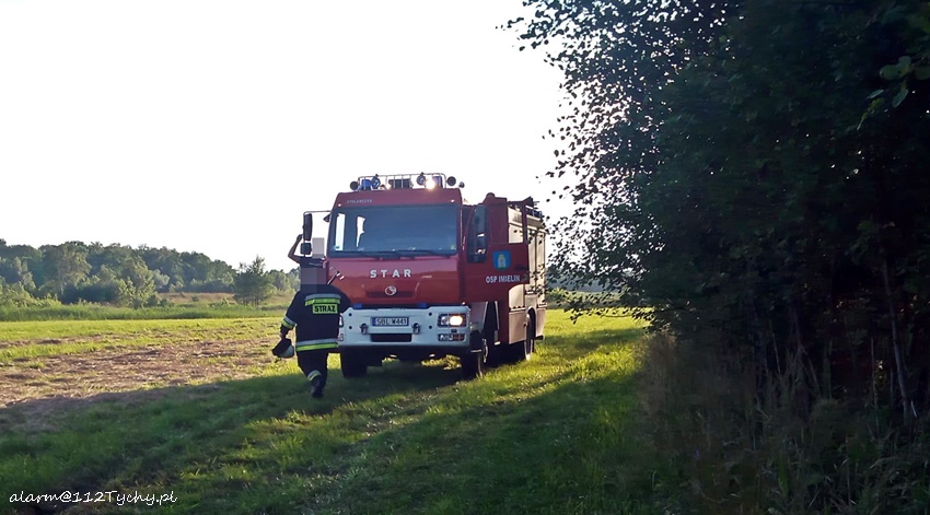 POŻAR STERTY TRAWY I DRZEWA PRZY UL CZERNINY W CHEŁMIE ŚLĄSKIM POŻAR STERTY TRAWY I DRZEWA PRZY UL CZERNINY W CHEŁMIE ŚLĄSKIM