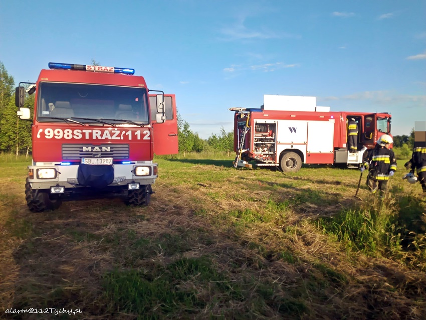 POŻAR STERTY TRAWY I DRZEWA PRZY UL CZERNINY W CHEŁMIE ŚLĄSKIM POŻAR STERTY TRAWY I DRZEWA PRZY UL CZERNINY W CHEŁMIE ŚLĄSKIM