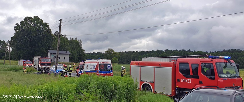 DACHOWANIE OSOBÓWKI W MIĘDZYRZECZU DACHOWANIE OSOBÓWKI W MIĘDZYRZECZU