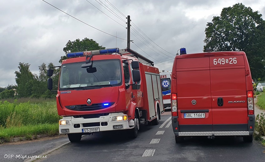 DACHOWANIE OSOBÓWKI W MIĘDZYRZECZU DACHOWANIE OSOBÓWKI W MIĘDZYRZECZU