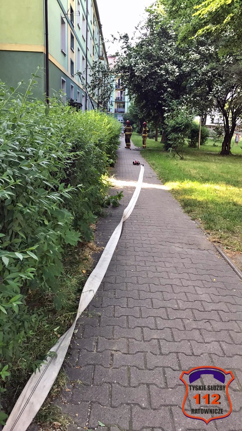INTERWENCJA SŁUŻB RATUNKOWYCH W BUDYNKU WIELORODZINNYM PRZY AL. NIEPODLEGŁOŚCI 21 INTERWENCJA SŁUŻB RATUNKOWYCH W BUDYNKU WIELORODZINNYM PRZY AL. NIEPODLEGŁOŚCI 21