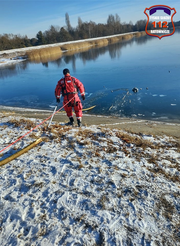 PRZYMARZNIĘTY ŁABĘDŹ NA ZALEWIE DZIEĆKOWICKIM PRZYMARZNIĘTY ŁABĘDŹ NA ZALEWIE DZIEĆKOWICKIM