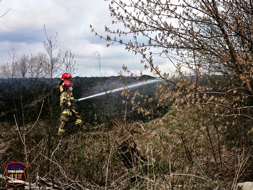 POŻAR TRAW I NIEUŻYTKÓW NA NASYPIE KOLEJOWYM W REJONIE UL. SERDECZNEJ I URBANOWICKIEJ POŻAR TRAW I NIEUŻYTKÓW NA NASYPIE KOLEJOWYM W REJONIE UL. SERDECZNEJ I URBANOWICKIEJ