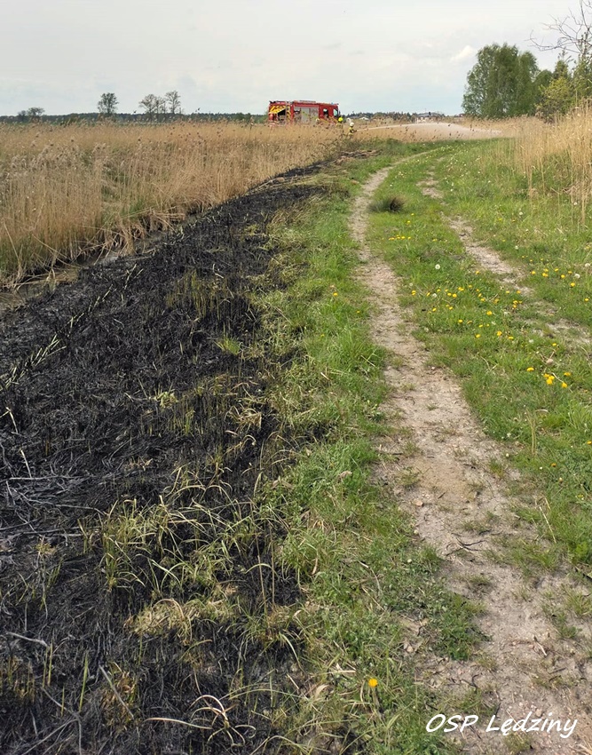 POŻAR TRAW I NIEUŻYTKÓW PRZY UL. FOLWARCZNEJ W LĘDZINACH POŻAR TRAW I NIEUŻYTKÓW PRZY UL. FOLWARCZNEJ W LĘDZINACH