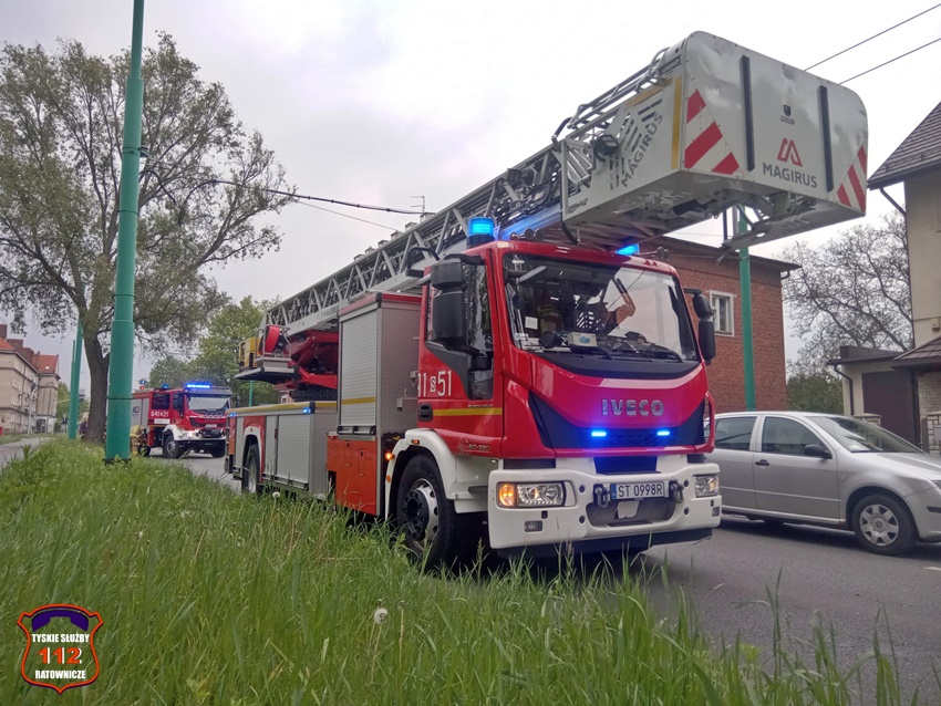 NIEBEZPIECZNIE ZWISAJACE GAŁĘZIE NAD ŚCIEŻKĄ ROWEROWĄ W CIĄGU UL. BUDOWLANYCH NIEBEZPIECZNIE ZWISAJACE GAŁĘZIE NAD ŚCIEŻKĄ ROWEROWĄ W CIĄGU UL. BUDOWLANYCH