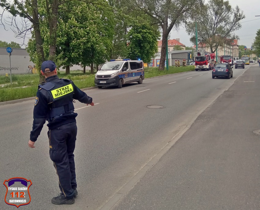 NIEBEZPIECZNIE ZWISAJACE GAŁĘZIE NAD ŚCIEŻKĄ ROWEROWĄ W CIĄGU UL. BUDOWLANYCH NIEBEZPIECZNIE ZWISAJACE GAŁĘZIE NAD ŚCIEŻKĄ ROWEROWĄ W CIĄGU UL. BUDOWLANYCH