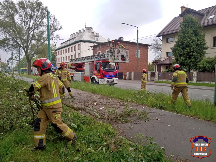 NIEBEZPIECZNIE ZWISAJACE GAŁĘZIE NAD ŚCIEŻKĄ ROWEROWĄ W CIĄGU UL. BUDOWLANYCH NIEBEZPIECZNIE ZWISAJACE GAŁĘZIE NAD ŚCIEŻKĄ ROWEROWĄ W CIĄGU UL. BUDOWLANYCH