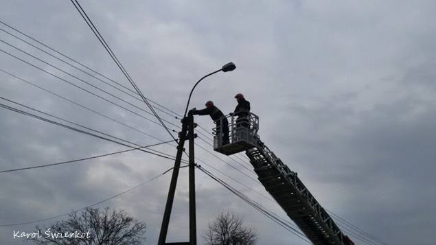 Kot na słupie energetycznym w Lędzinach Kot na słupie energetycznym w Lędzinach